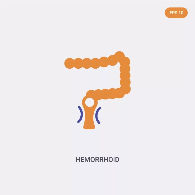 2 color Hemorrhoid concept vector icon.
