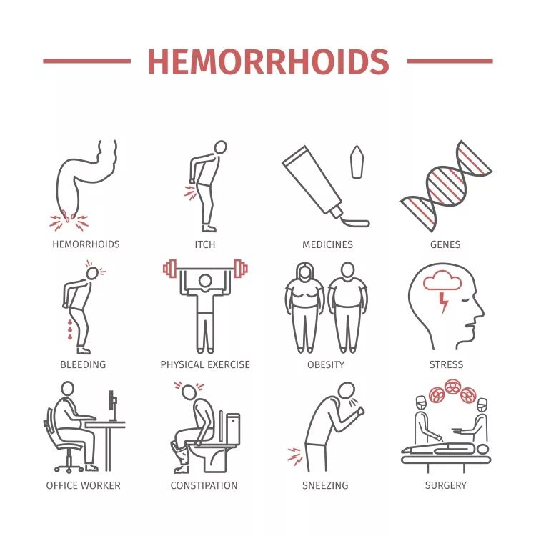 Hemorrhoids line icon Infographics