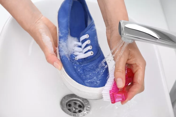 How to Clean Dog Poop Off Shoes