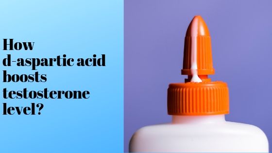 D-Aspartic Acid Boosts Testosterone Level