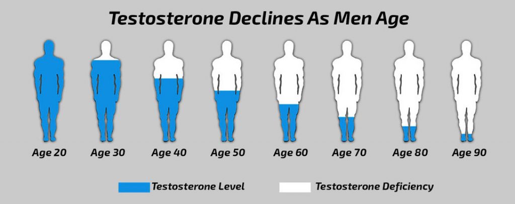 Testosterone Changes Chart