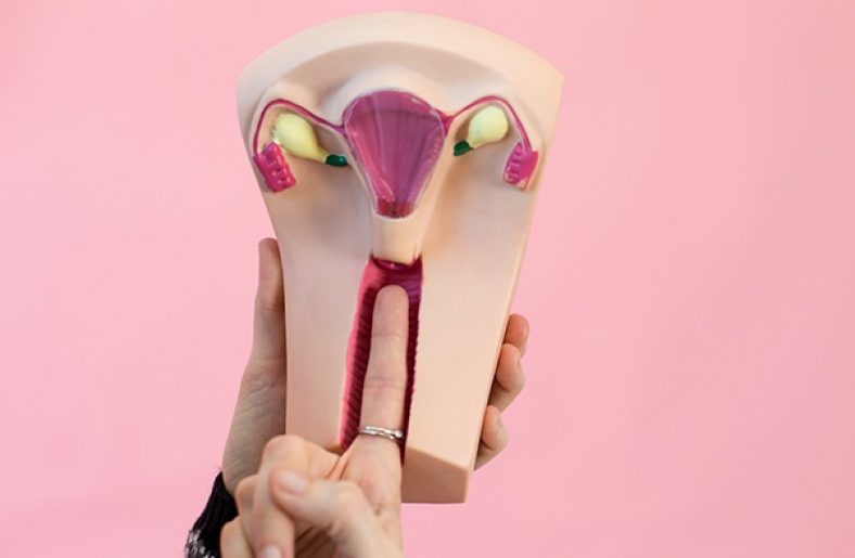 How to Choose Best Menstrual Cup for a Low Cervix and High Cervix