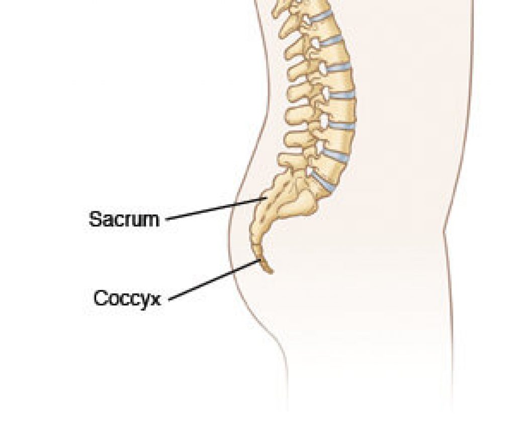 Why Do You Feel Tailbone Pain When Sitting Down And Getting Up